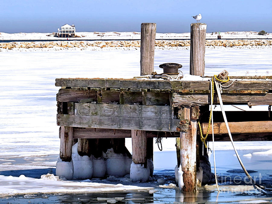 The Wharf Wore Snow Boots Photograph by Janice Drew