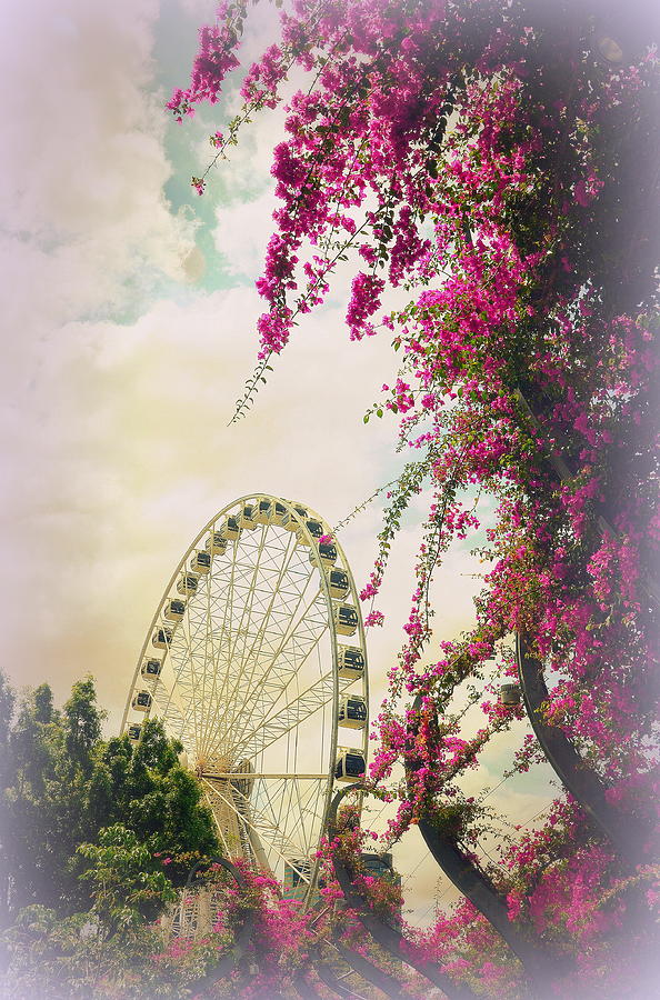 Spring Photograph - The Wheel of Brisbane by Toni Abdnour