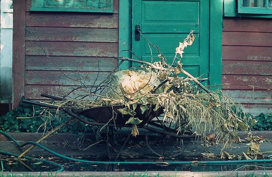 The Wheelbarrow by Cindy Clements The Wheelbarrow by Cindy Clements