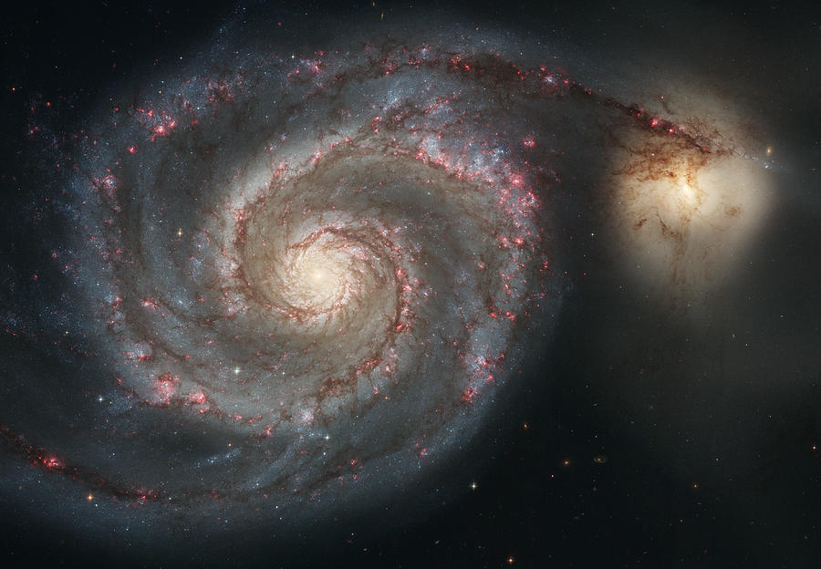 The Whirlpool Galaxy M51 Photograph by Celestial Images