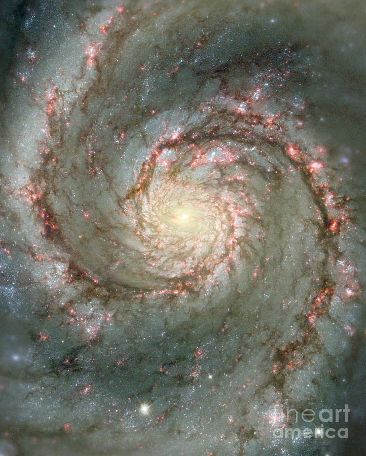 The Whirlpool Galaxy M51 Photograph by Rod Jones