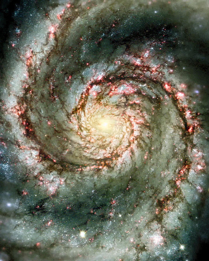 The whirlpool galaxy M51a Photograph by Eti Reid