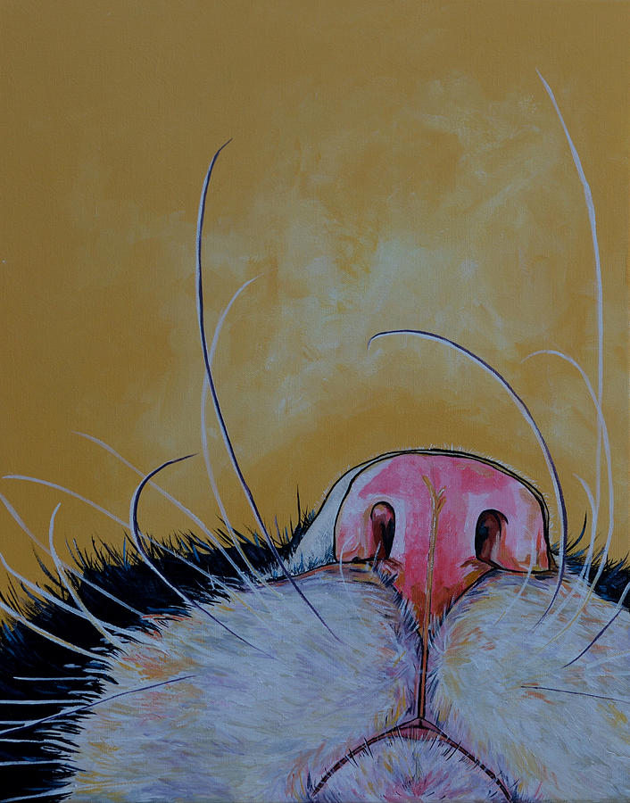 Cat Painting - The Whiskers by Patti Schermerhorn