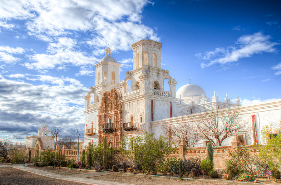 The White Dove Of The Desert Photograph by Jennifer BauerLeffler