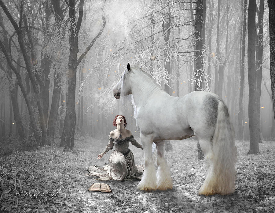 The White Fairytale Photograph by Terry Kirkland Cook