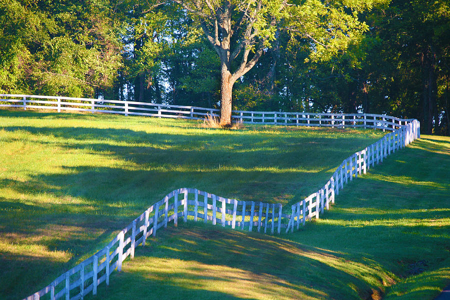 The White Fence Photograph by Jill Brooks - Fine Art America