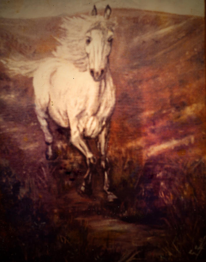 The White Horse Painting by Mackenzie Moulton