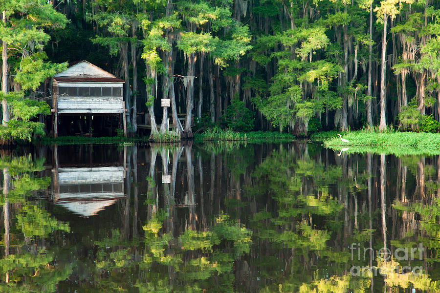 The White House in the Lake Photograph by Iris Greenwell