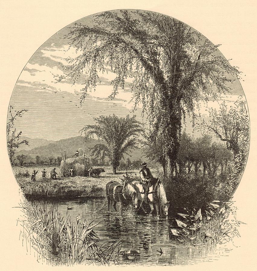 Vintage Painting - The White Mountains from the Conway Meadows 1872 Engraving by Antique Engravings