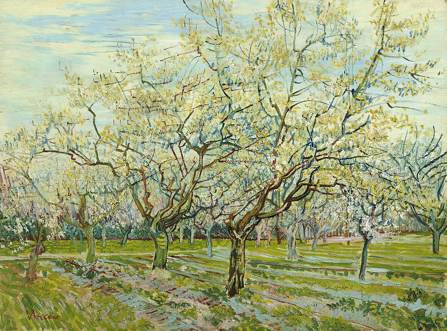 Vincent Van Gogh Painting - The white orchard by Vincent van Gogh