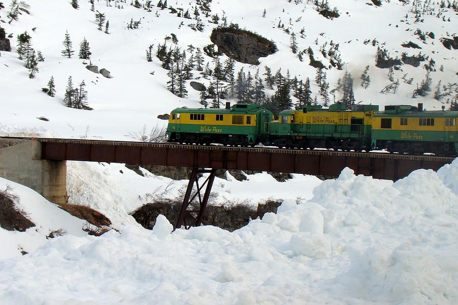 The White Pass And Yukon Steam train Out Of Skagway Alaska Photograph by Rick Rosenshein