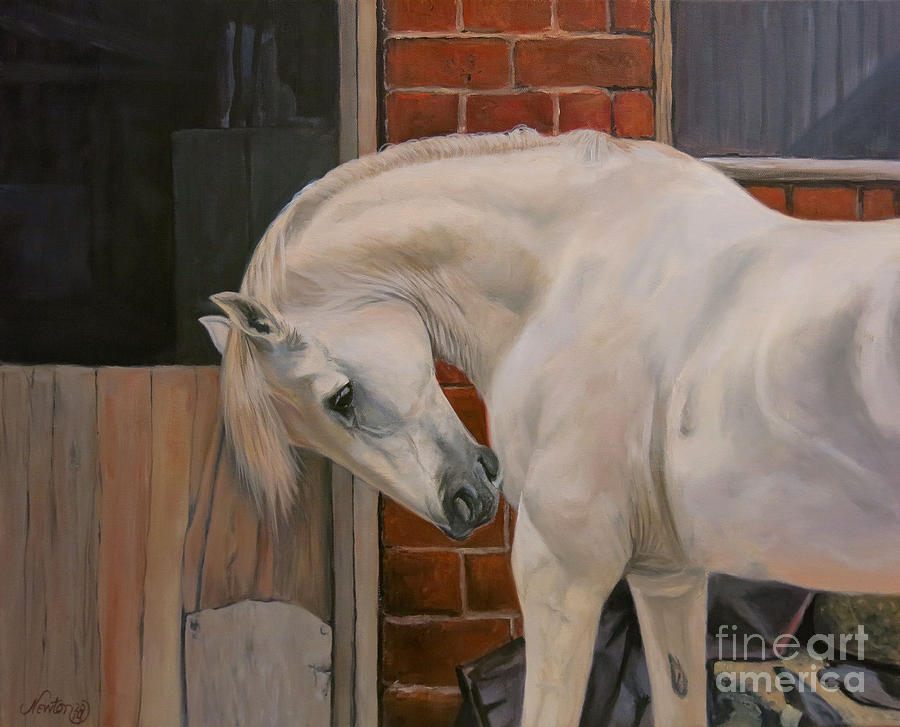 The White Pony Painting by Jeanne Newton Schoborg