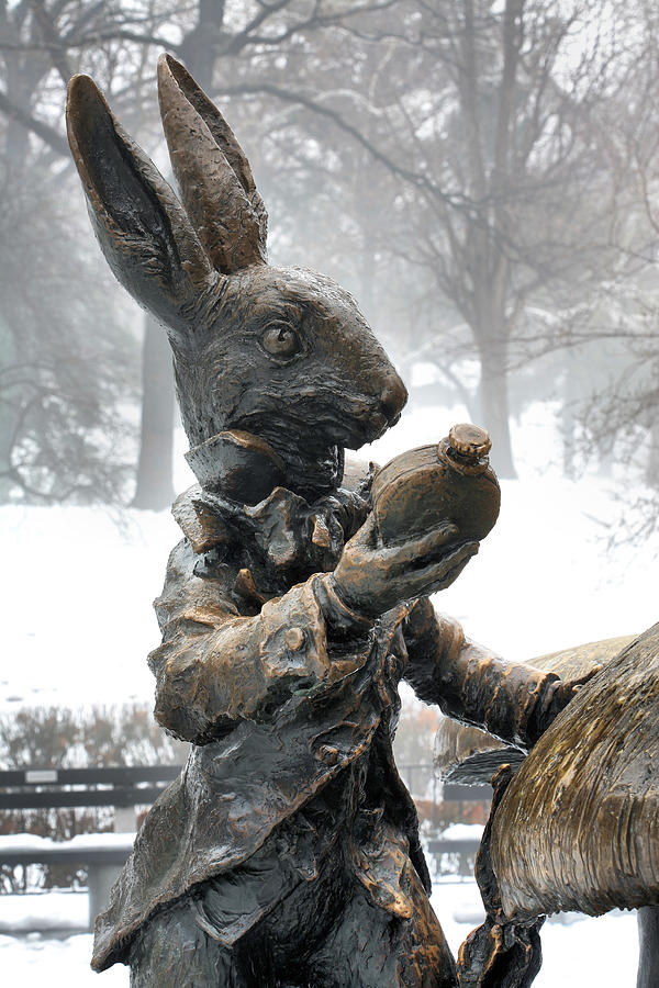 Central Park Photograph - The White Rabbit  by JC Findley