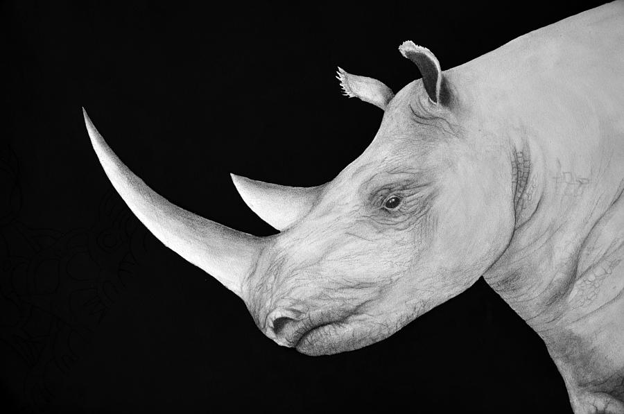 The white rhino Painting by Antonio Guerrero