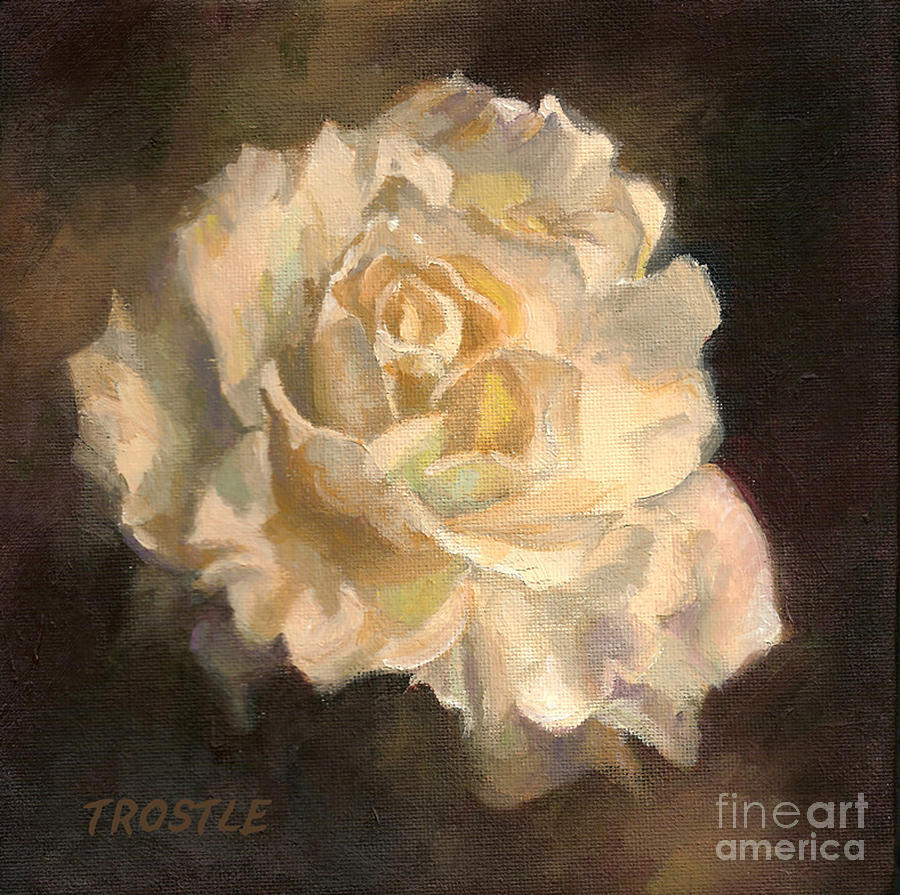Rose Painting - The White Rose by Patti Trostle