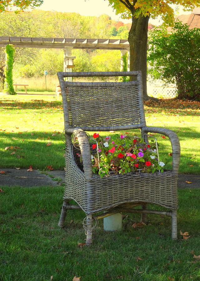 The Wicker Chair Photograph by Kathleen Luther