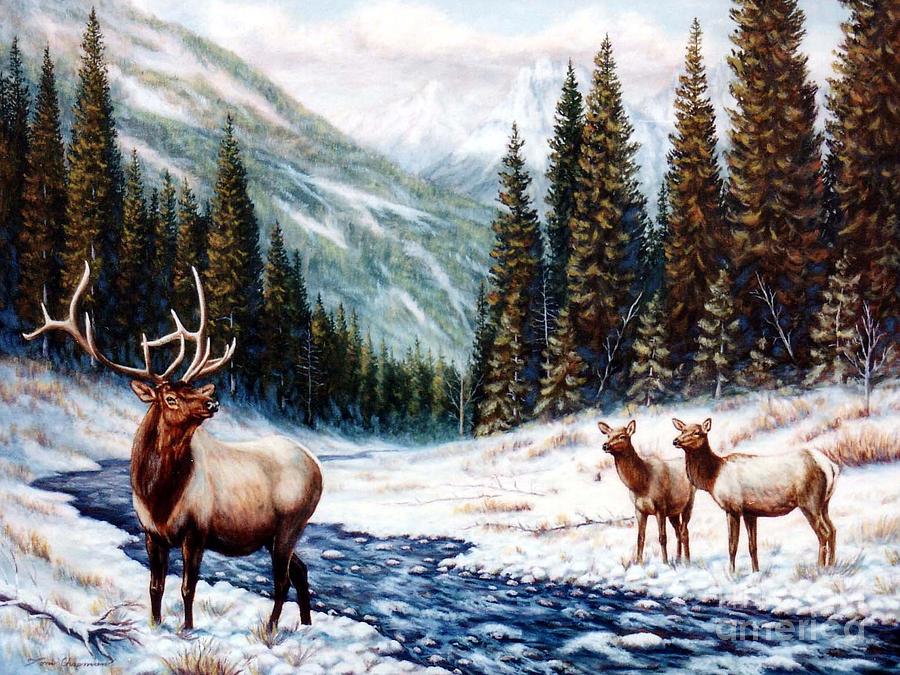 Glacier National Park Painting - The Wild Country by Tom Chapman