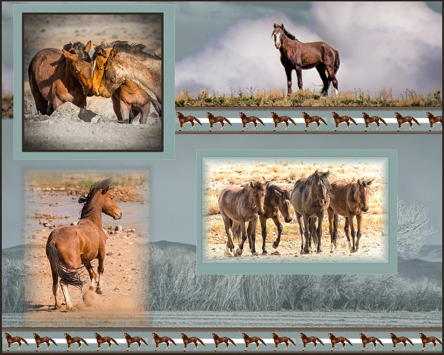 The Wild Horses of Nevada Photograph by Janis Knight