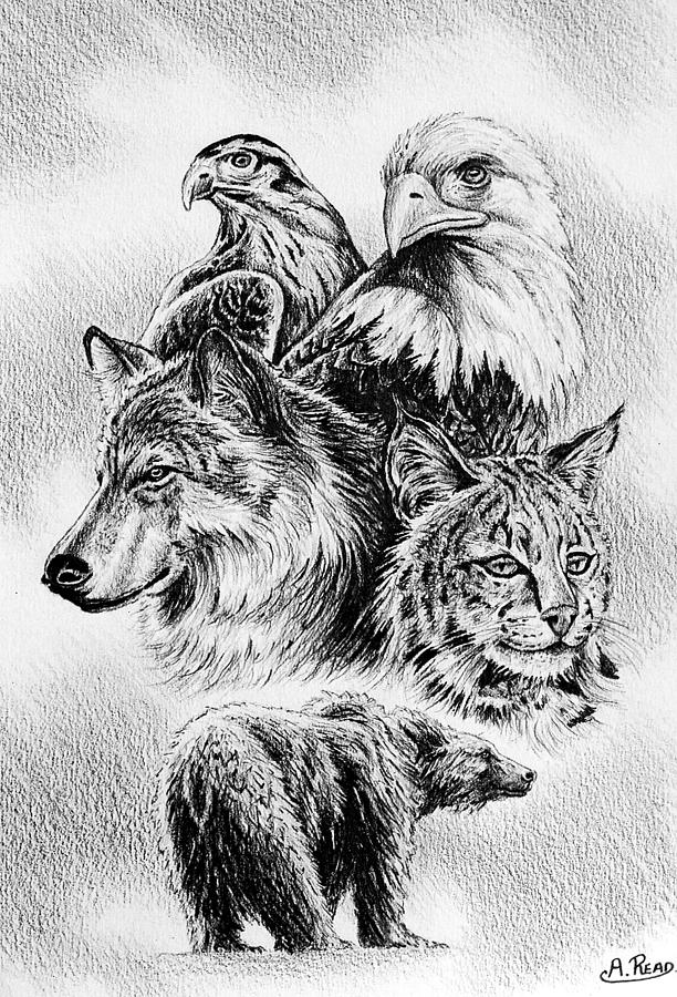 wildlife collage drawing