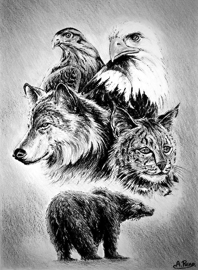 landscapes animal drawings