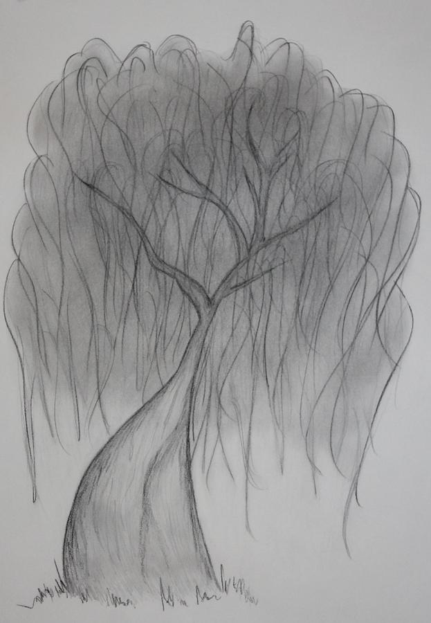 The willow tree Drawing by Lori Burke - Fine Art America