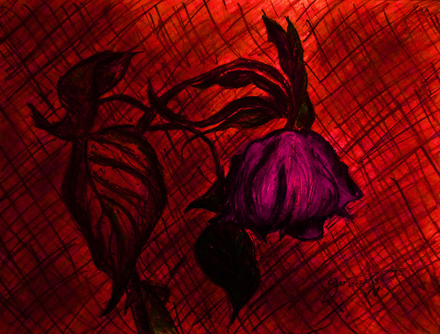The Wilted Pink Rose Drawing