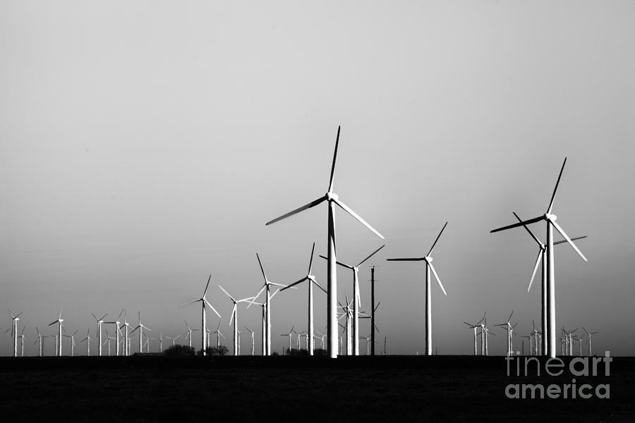 The Wind Farm-Black and White Photograph by Douglas Barnard