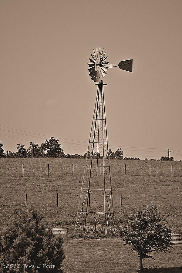 The Windmill Photograph by Tara Potts