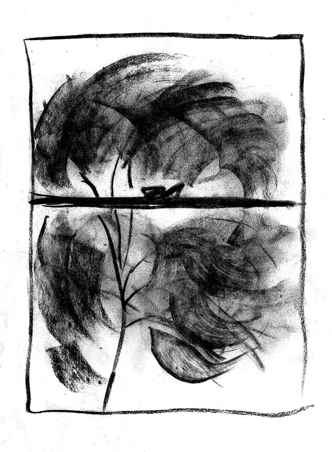 Tree Drawing - The Window by Michael Dohnalek