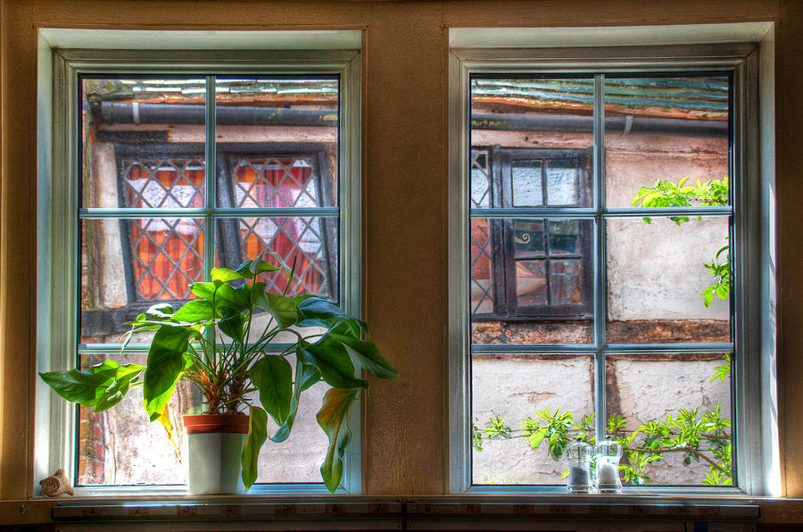 Window Photograph - The Window Sill by Geraldine Alexander