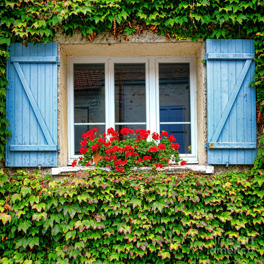 The Window with the Geraniums and the Blue Shutters Photograph by Olivier Le Queinec