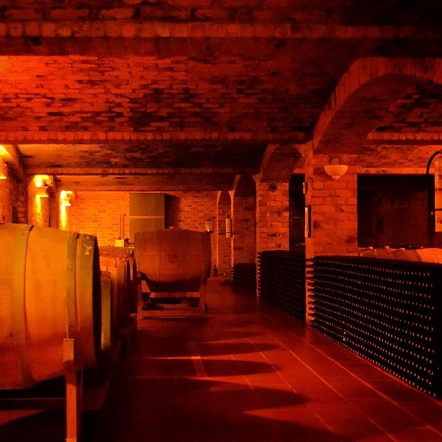 Wine Photograph - The Wine Cellar by David Lopez
