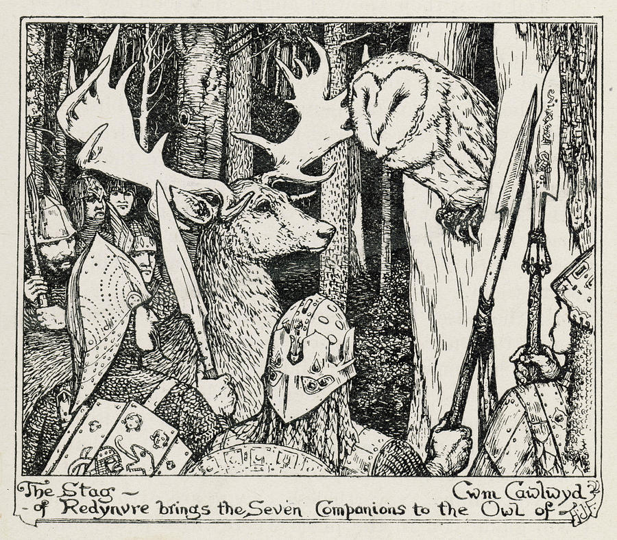 The Winning Of Olwen The Stag Drawing by Mary Evans Picture Library ...