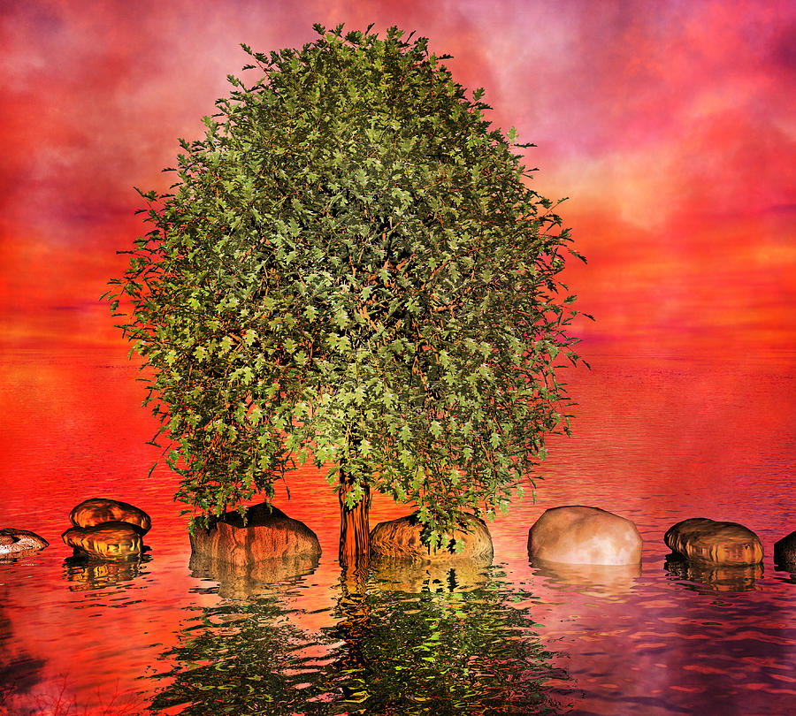 The Wishing Tree One Of Two Digital Art