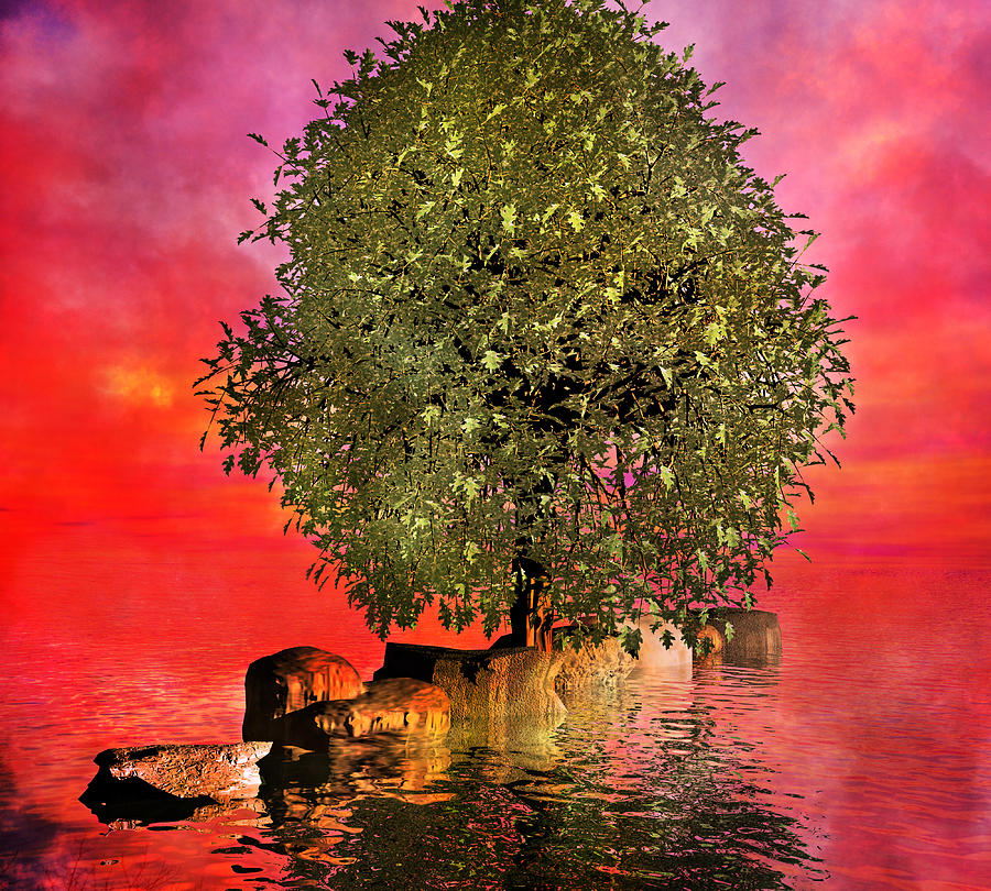 The Wishing Tree Two Of Two Digital Art