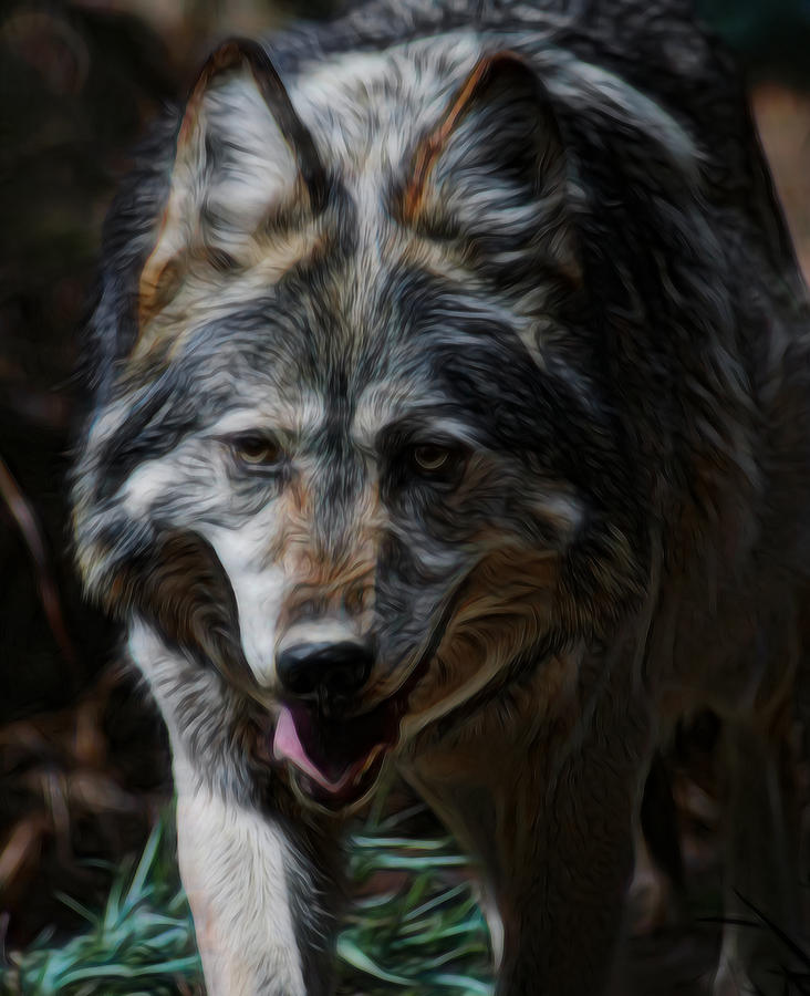 The Wolf Digital Art Digital Art by Ernest Echols