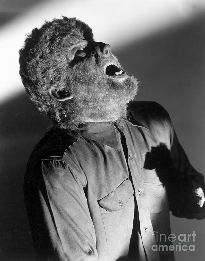 The Wolf Man - Lon Chaney Jr Photograph By Mmg Archives