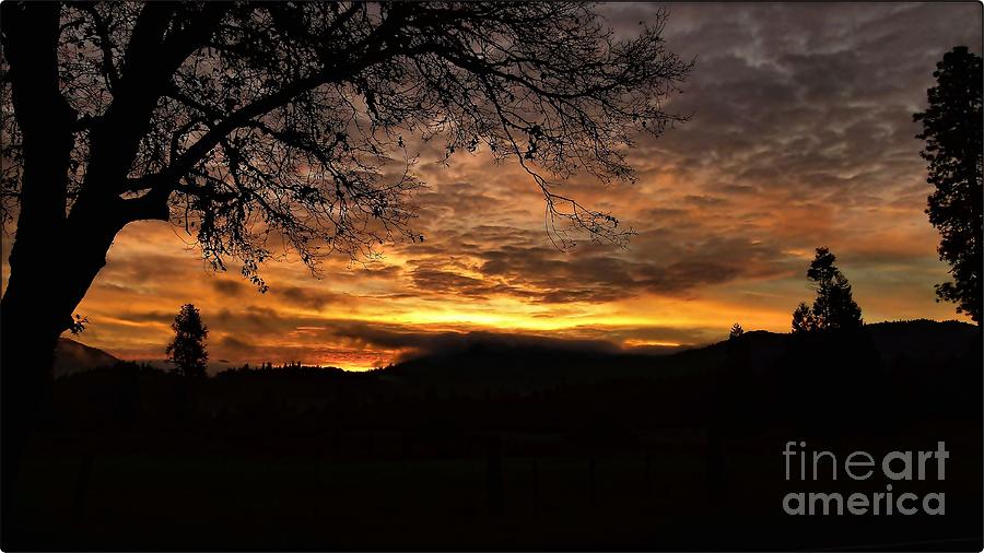 The Wonder Of Sunrise Photograph by Julia Hassett