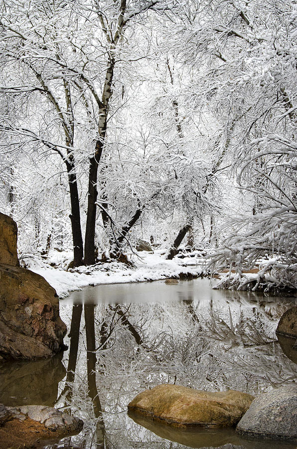 Winter Photograph - The Wonders of Winter  by Saija Lehtonen