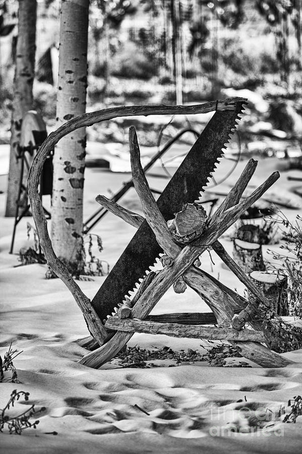 The Wood Saw-Black and White Photograph by Douglas Barnard