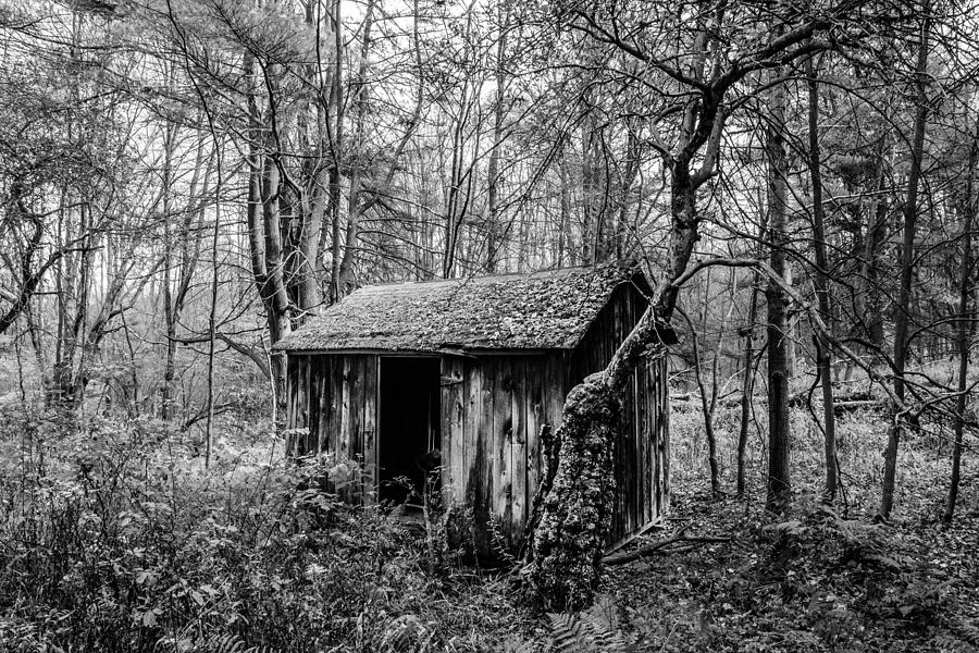 The Wood Shed Black and White Photograph by Anthony Thomas - Fine Art ...