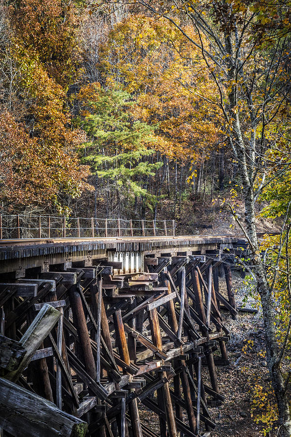The Wood Trestle Photograph by Debra and Dave Vanderlaan