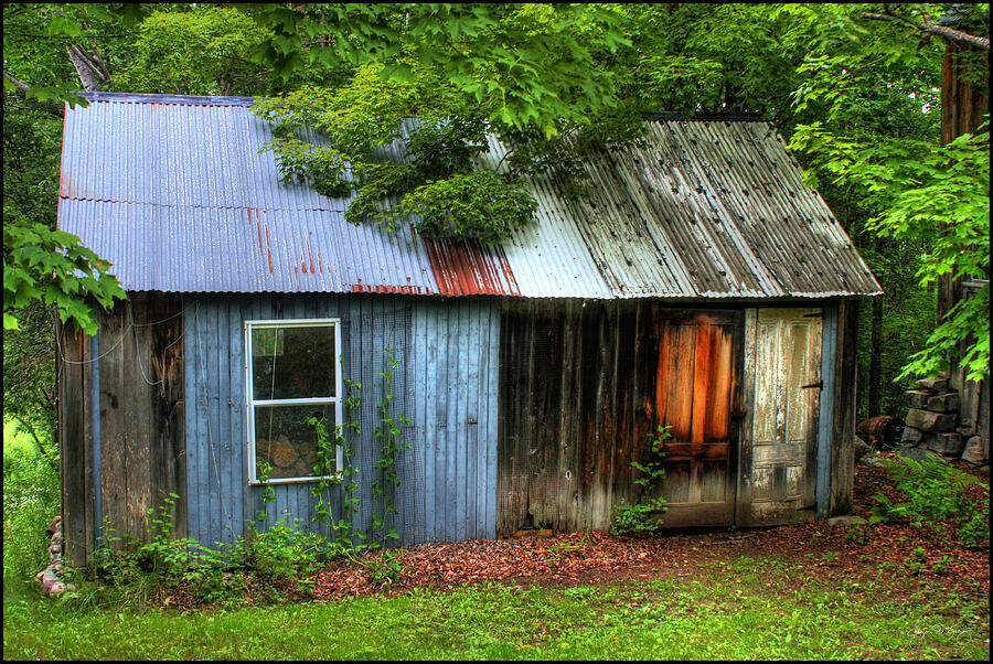 The Woodshed Photograph by Wayne King