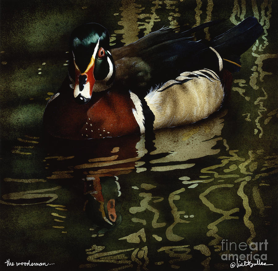 Duck Painting - The Woodsman... by Will Bullas