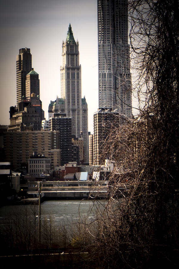 The Woolworth Building Vignette Photograph by Frank Winters