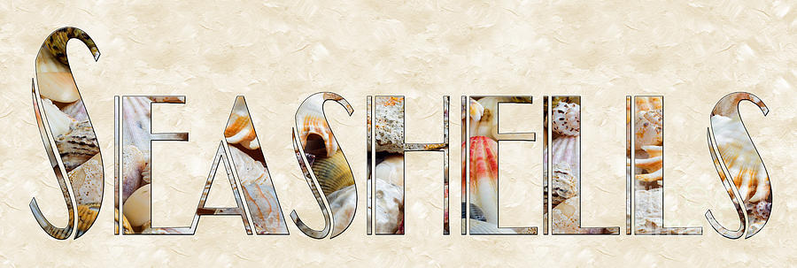 The Word Is Seashells Photograph by Andee Design