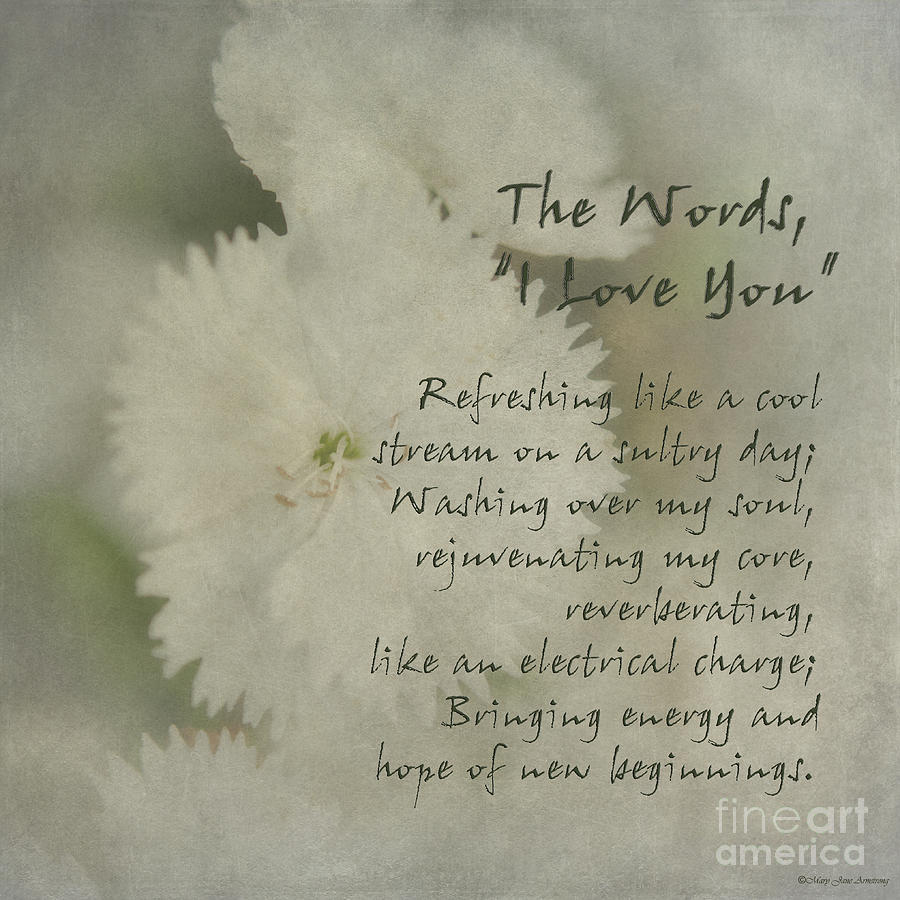 The Words I Love You Photograph by Mary Jane Armstrong