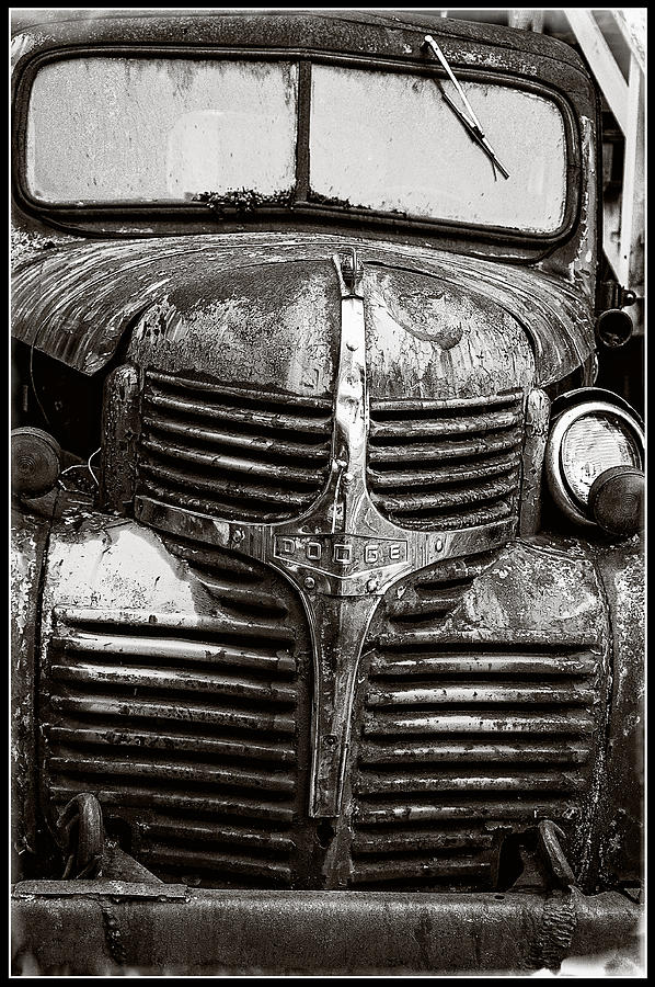 The Old Dodge Truck Photograph by Roxy Hurtubise