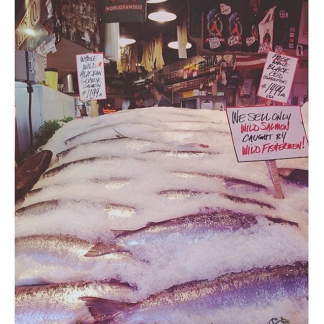 The World Famous, Pike Place Fish Photograph by Sara Dye