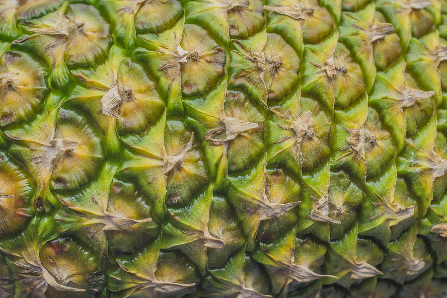 The World Famous Pineapple Fruit Photograph by David Haskett II